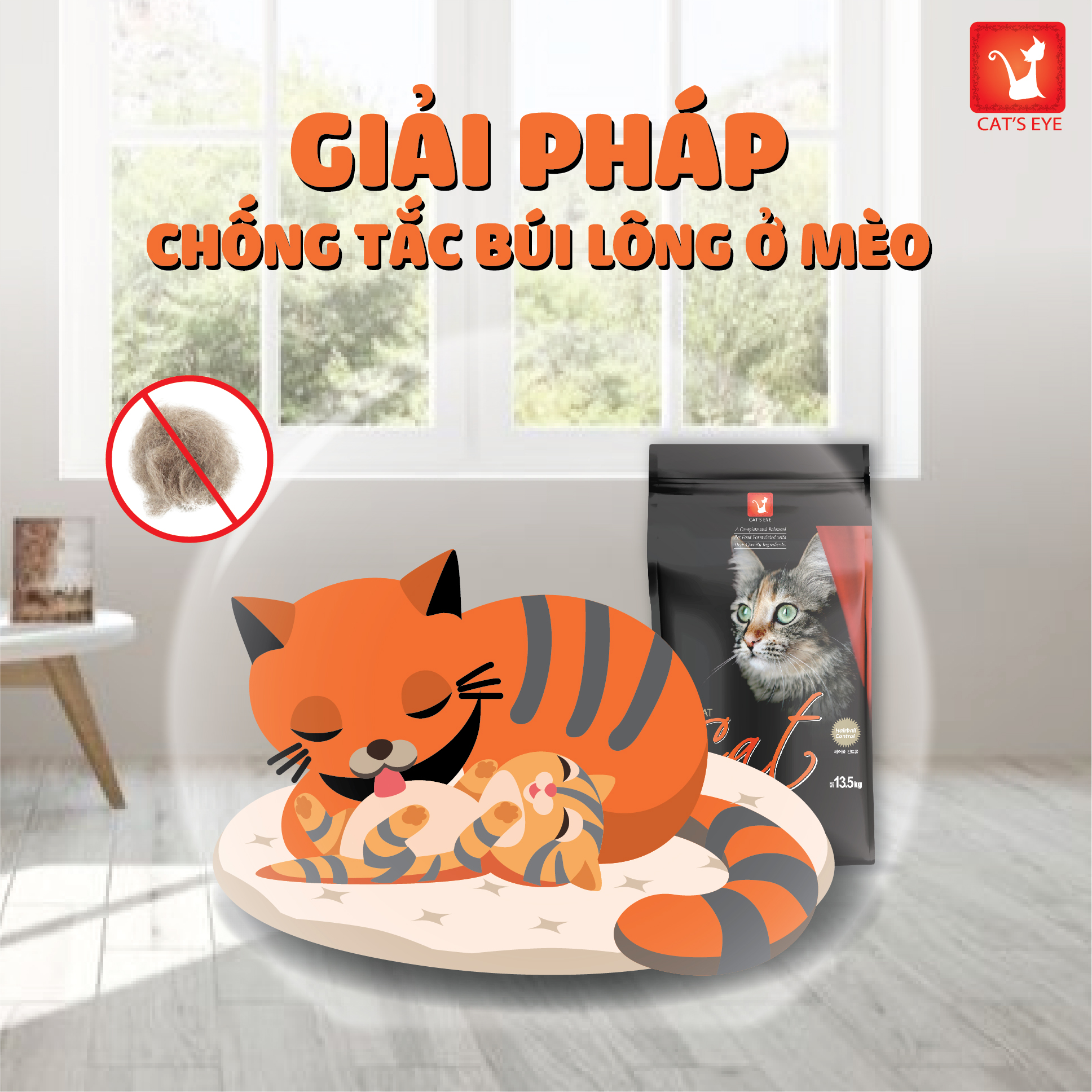 [ 13.5 KG ] - Thức ăn hạt Cateyes cho mèo mọi lứa tuổi