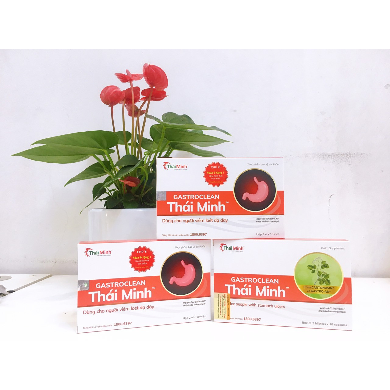 Combo 3 hộp GastroClean - Hỗ trợ giảm acid dịch vị, giúp bảo vệ niêm mạc dạ dày