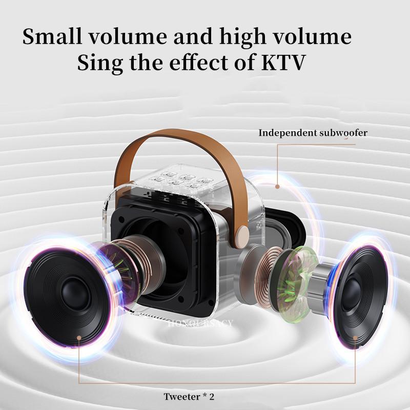 Loa Bluetooth Karaoke Ngoài Trời Mini Di Động Có Thẻ Micro Không Dây Loa Siêu Trầm Âm Lượng Cao Caixa De Som Quà Tặng Trẻ Em Màu sắc: 2 Micrô