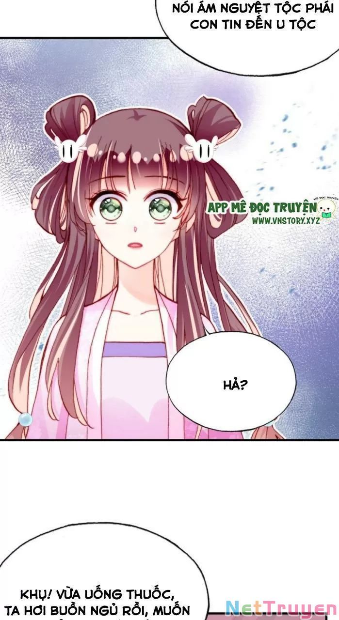 lại bị bệnh chiều chuộng quấn lấy chapter 33 24