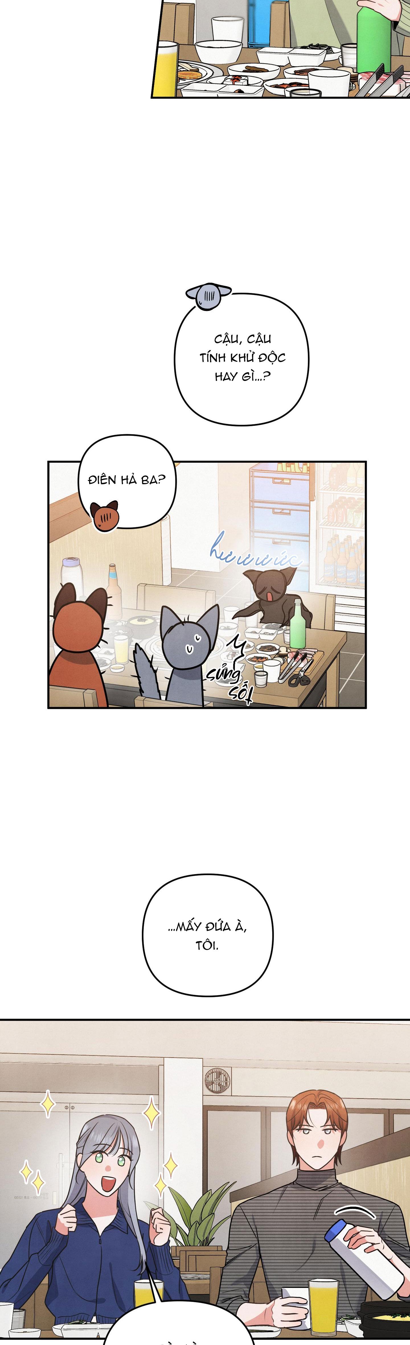 mối quan hệ ngu ngốc chapter 24 24