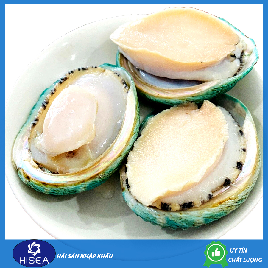 Bào ngư Úc viền xanh - 1kg