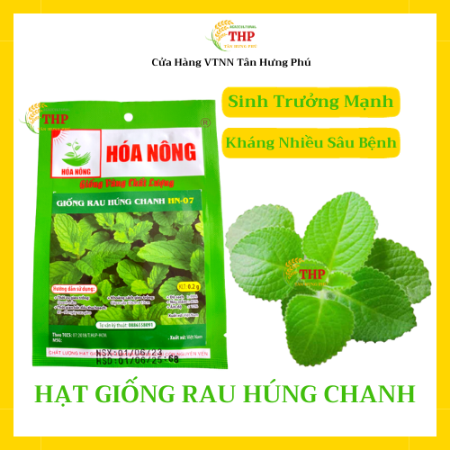 Hạt giống Húng Chanh HN-07 | Hạt Giống | gói 0.2gr