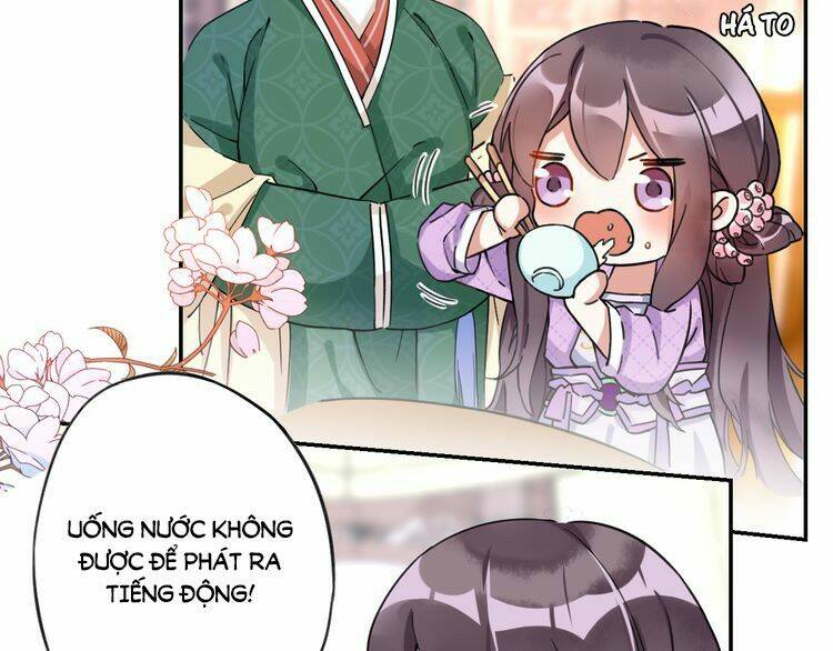 hoa nhan sách chapter 3.1 24