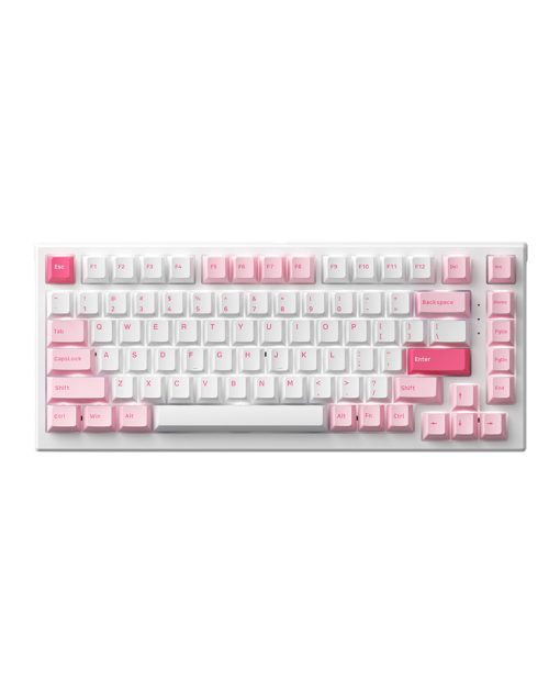 Bàn phím cơ có dây Akko MonsGeek MG75 Prunus Lannesiana (White LED / AKKO sw v3) - Hàng chính hãng