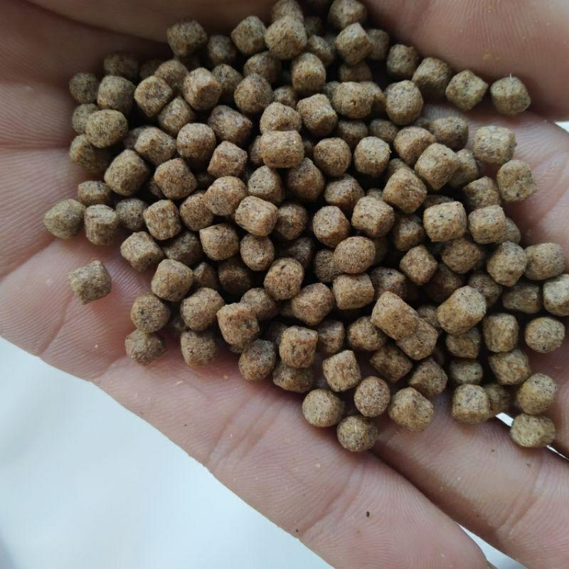 1KG Cám cá NEW STELLA vàng thơm không còn nặng