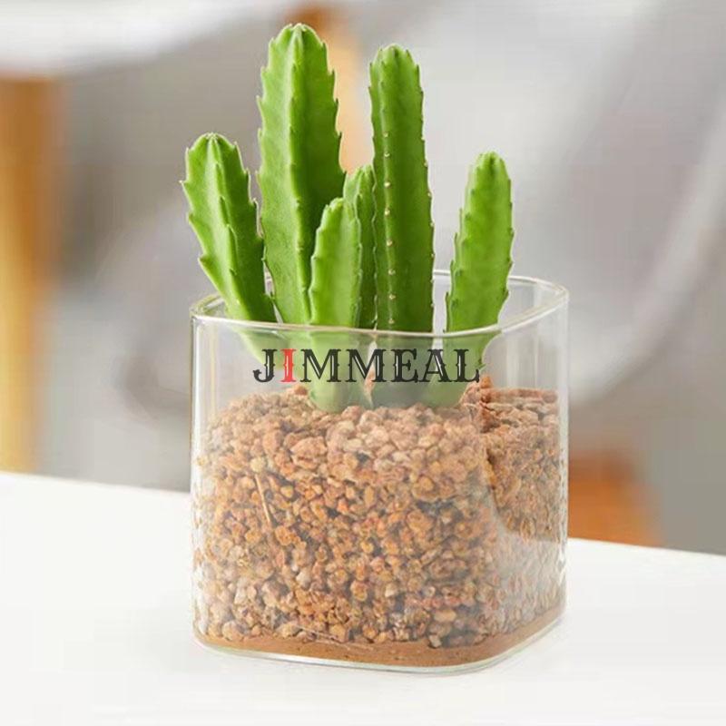 Chậu Thủy Tinh Trồng Cây, Lọ Thủy Tinh Vuông Trồng Cây Jimmeal Trong Suốt, Cắm Hoa Để Bàn, Decor Nội Thất Đa Năng