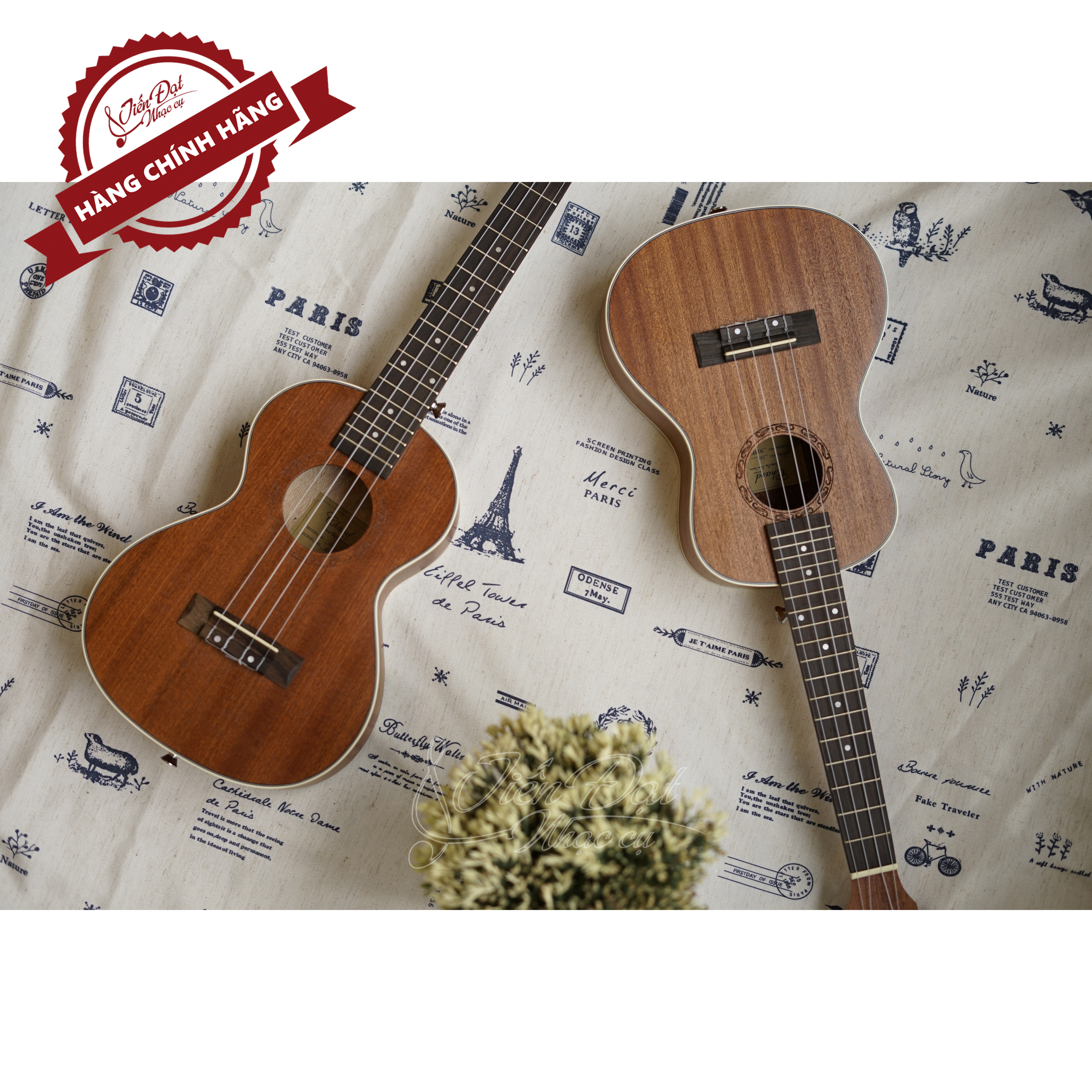 Đàn Ukulele Concert Chard U-24A, Mặt Đàn Gỗ Gụ - Hàng Chính Hãng