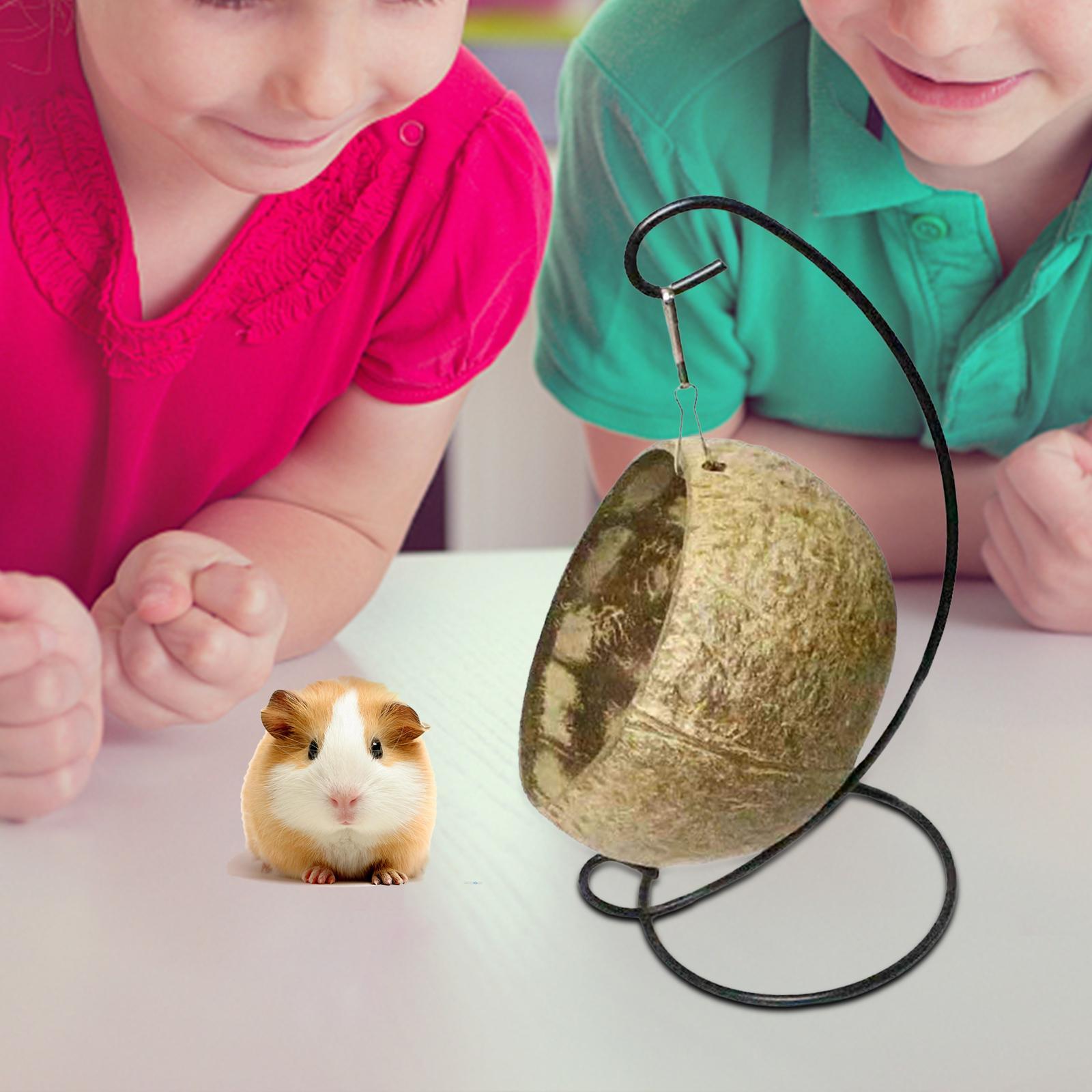 Hamster Hammock Toys Nest Ferret Small Animals Rat Swinging Hideout