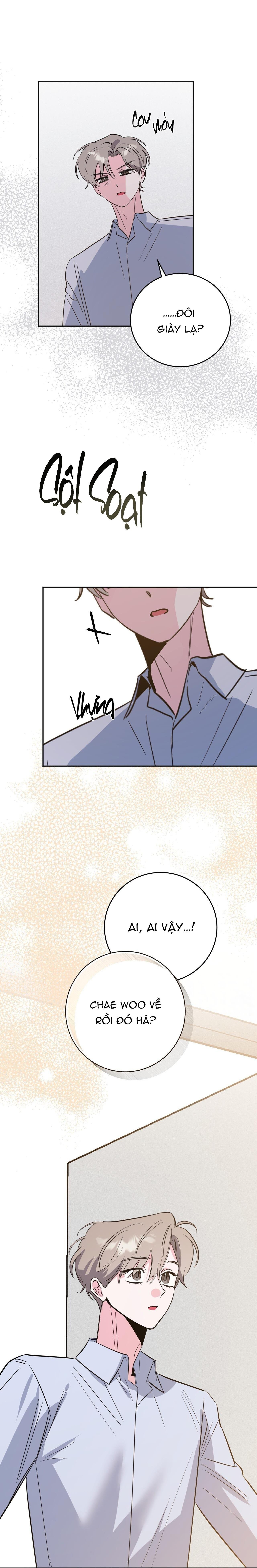 cạm bẫy đại học chapter 95 26