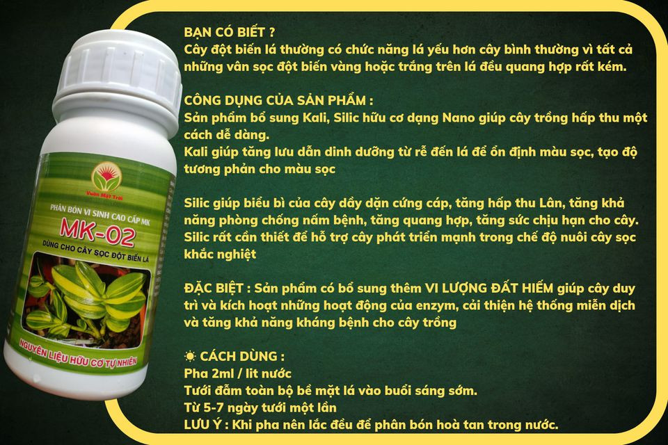 Phân Bón Vi Sinh Cao Cấp MK-02 Dùng CHo Cây Sọc Đột Biến Lá-250ml