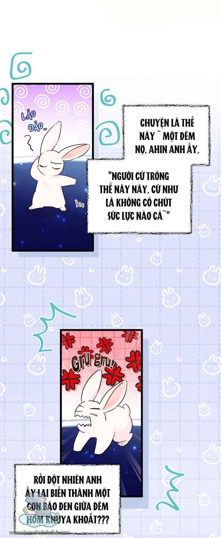 quan hệ cộng sinh giữa báo đen và thỏ trắng chapter 56 22