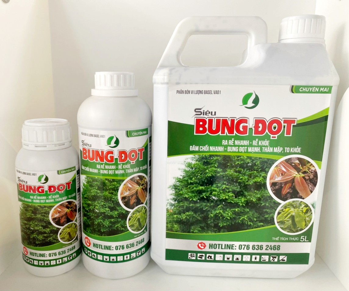 PHÂN BÓN DƯỠNG LÁ, MẬP ĐỌT CHUYÊN DÙNG CHO CÂY KIỂNG/MAI VÀNG - SIÊU BUNG ĐỌT CHAI 500ML/CHAI 1L VÀ CAN 5L