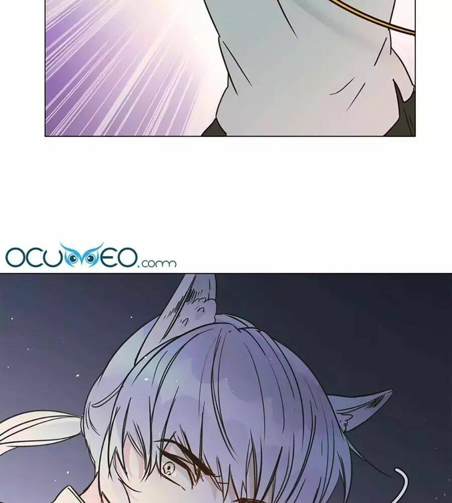 ngôi sao vụn vỡ chapter 28.5 68