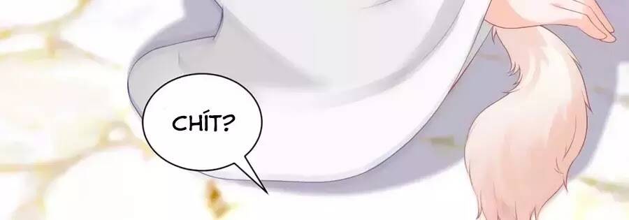 dưỡng thú vi phi chapter 5 81