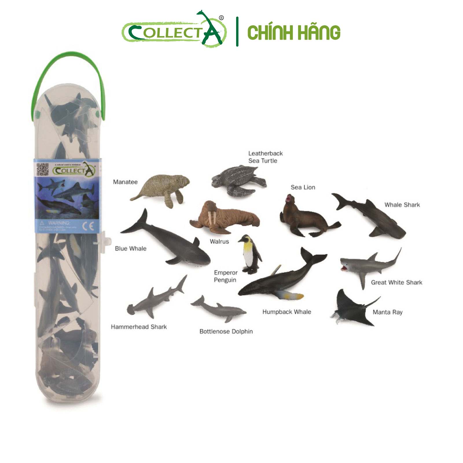 Bộ hình thu nhỏ: Động Vật Biển 1 - CollectA Box of Mini Sea Animals-1, hiệu: CollectA, mã HS 9655030[A1107] -  Chất liệu an toàn cho trẻ - Hàng chính hãng
