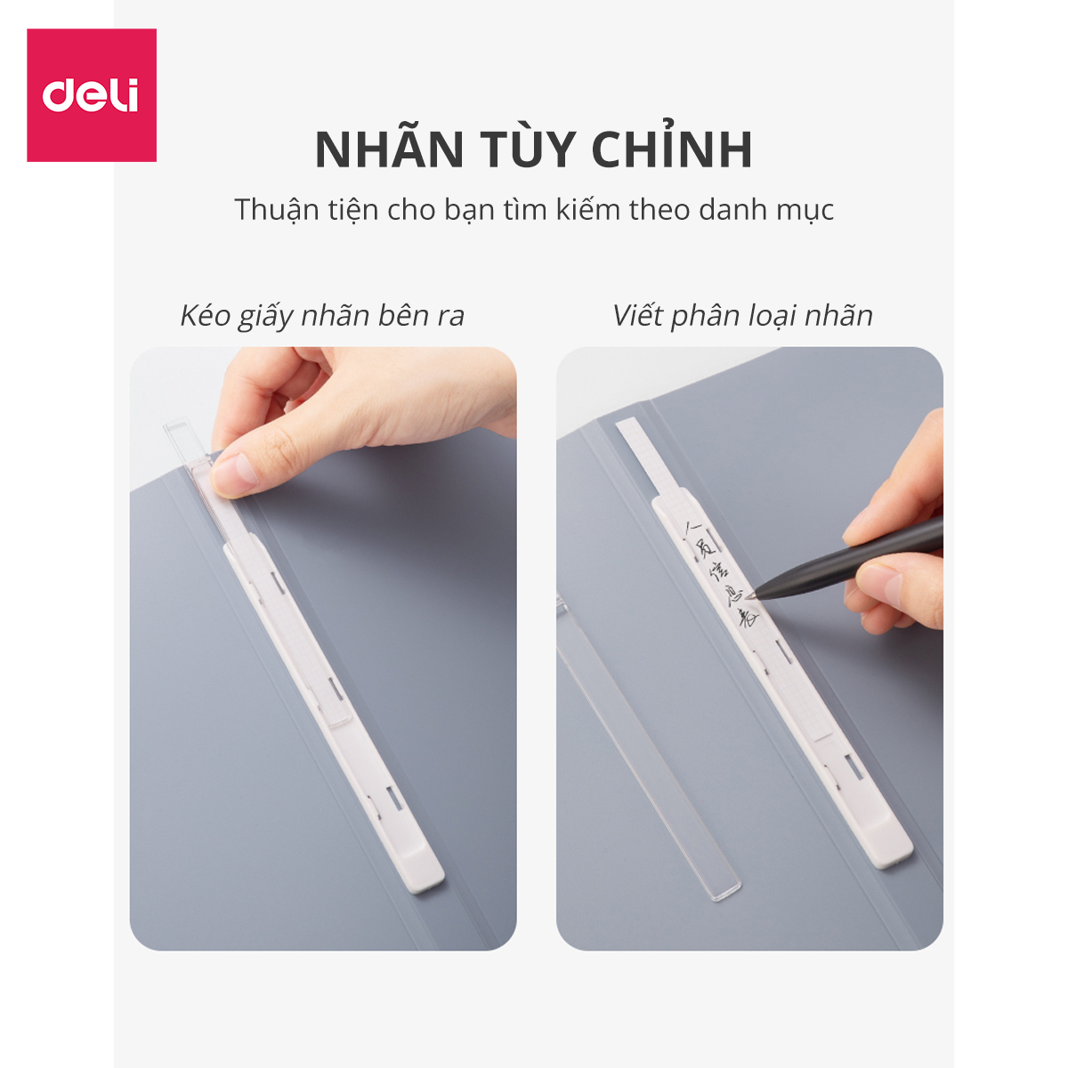 File lá A4 đựng tài liệu nhiều ngăn Nusign Deli - Tệp đựng tài liệu 30/40 lá chất liệu PP cao cấp tiện lợi nhiều màu sắc