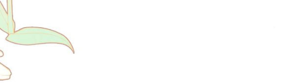 cô dâu của obsidian chapter 2.2 136