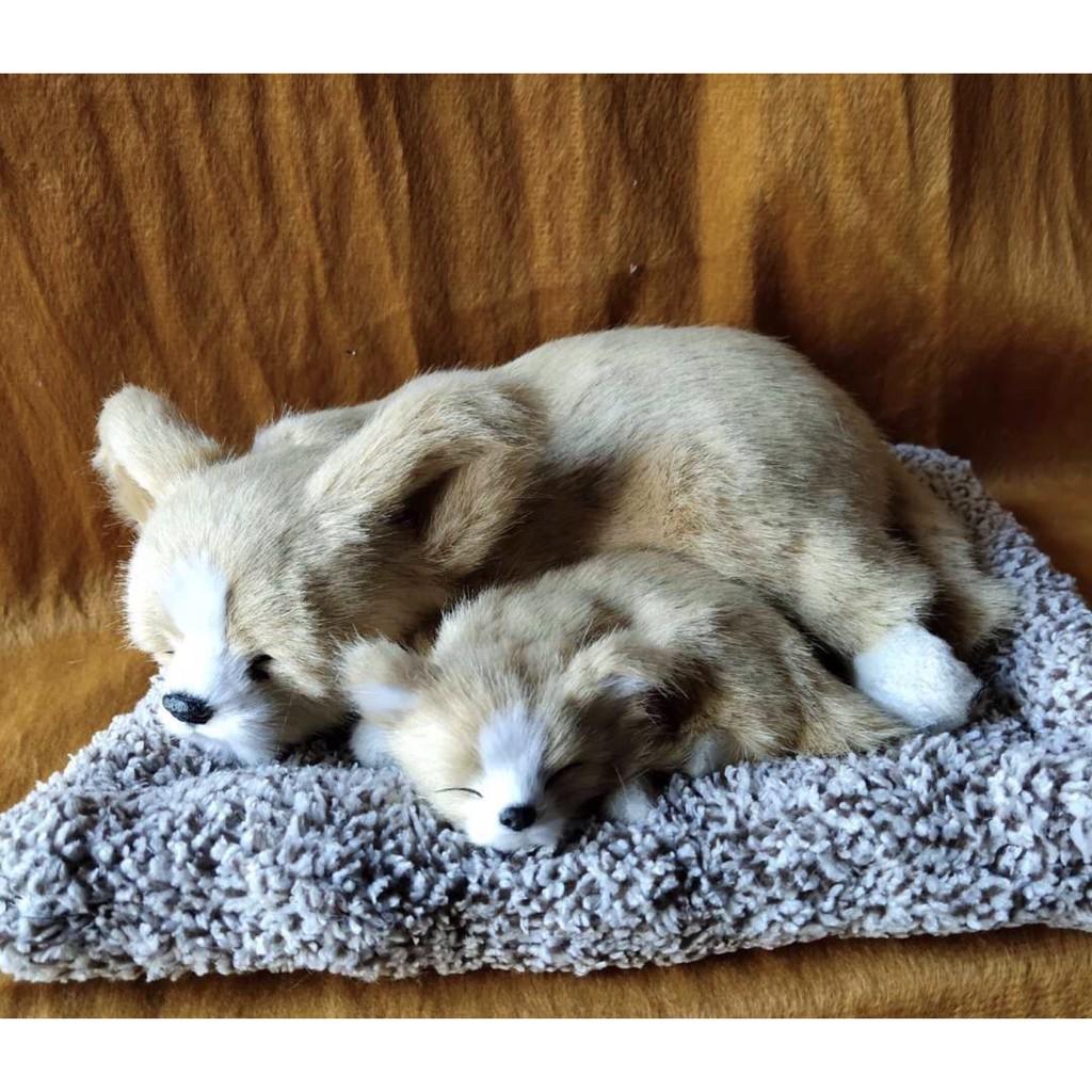 CHÓ BÔNG THAN HOẠT TÍNH TRANG TRÍ Ô TÔ