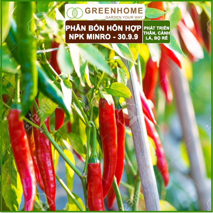 Phân NPK 30-9-9 +TE Greenhome, Minro, Bao 200gr, Phát Triển Nhanh Thân, Cành, Lá, Bộ Rễ Trên Kiểng, Cây Ăn Trái, Củ, Quả