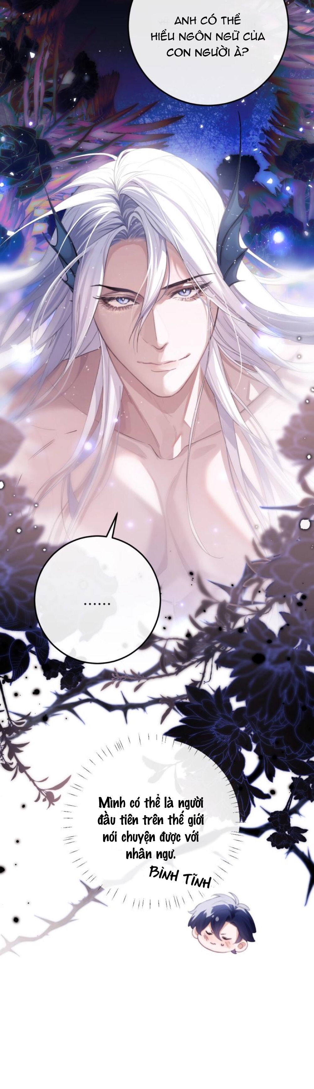 nhân ngư dessaro chapter 3 12