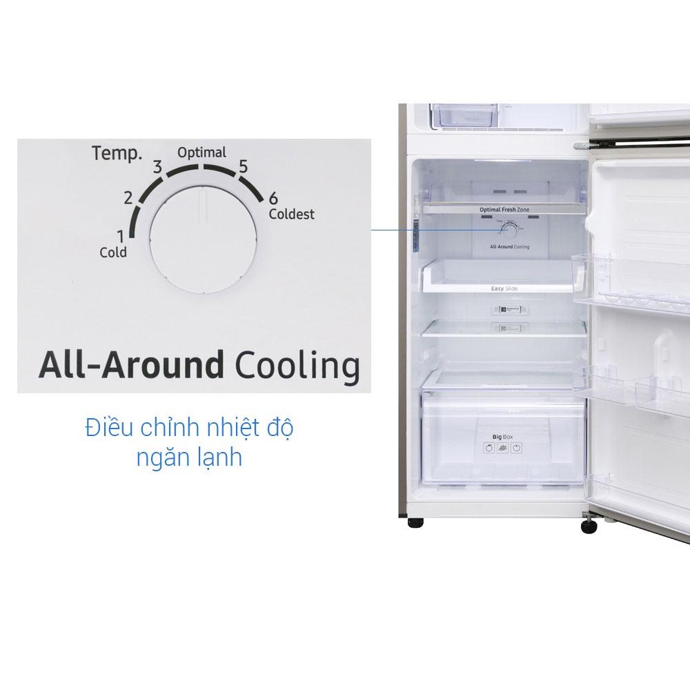 Tủ lạnh Samsung Inverter 236 lít RT22M4040DX/SV - Hàng Chính Hãng