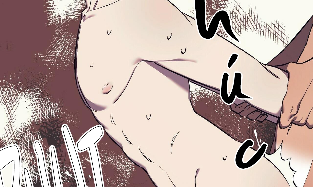 chàng dâu nhà họ kang chapter 17 152