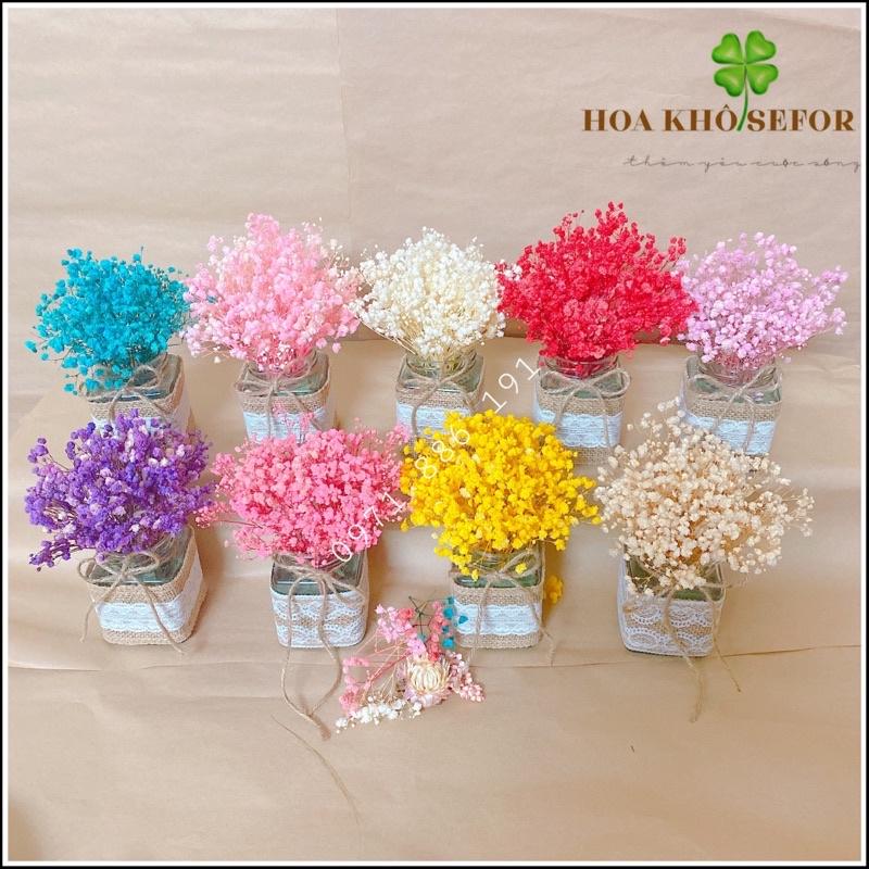 Lọ hoa baby khô ️ Lọ hoa khô decor nhà cửa, văn phòng, làm quà tặng