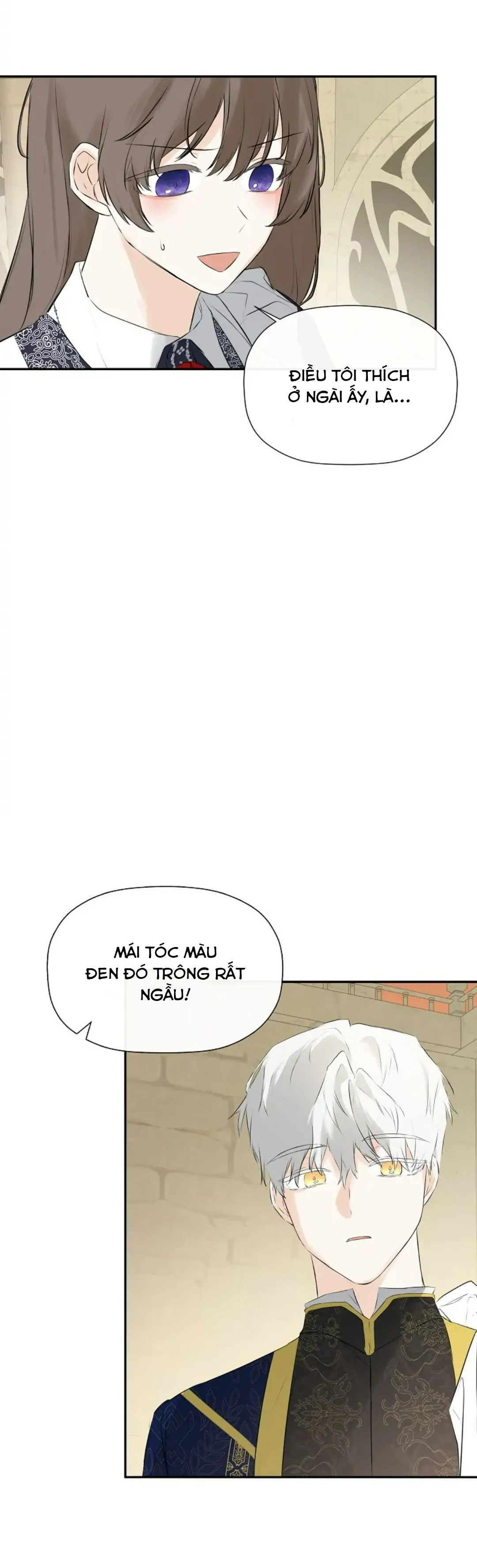 tôi biết bí mật của nam phụ chapter 21 32