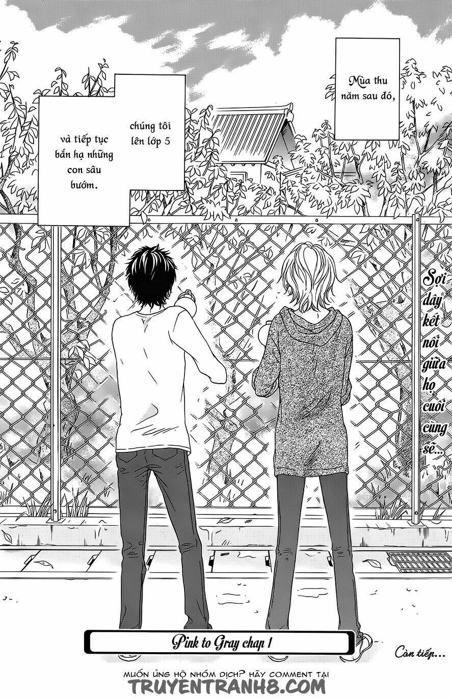 pink to gray chapter 1 44