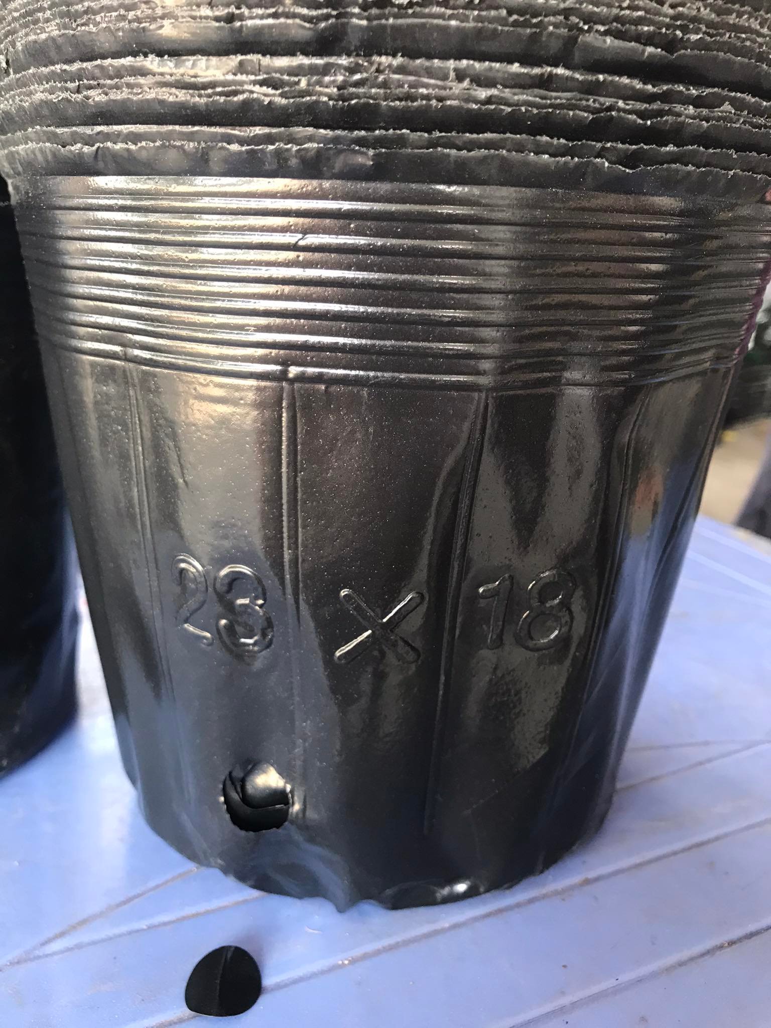 1KG BẦU ƯƠM MỀM 23X18 CM - 1KG : 78 CÁI