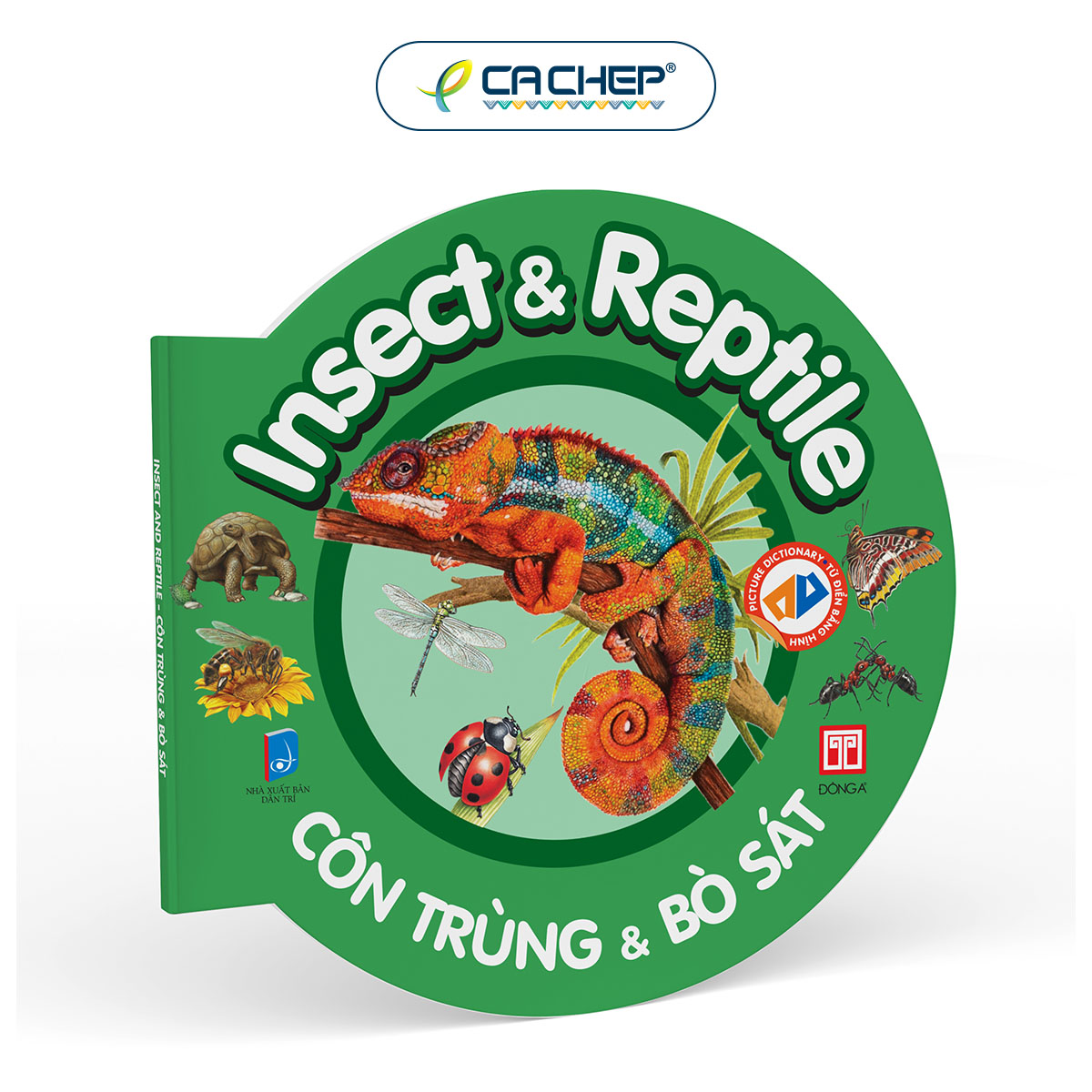 Bộ Từ điển bằng hình cho bé - Bộ mới 2023