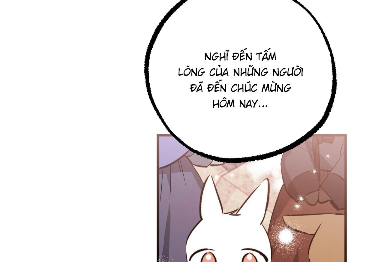 những chú thỏ của hapypy chapter 65 169
