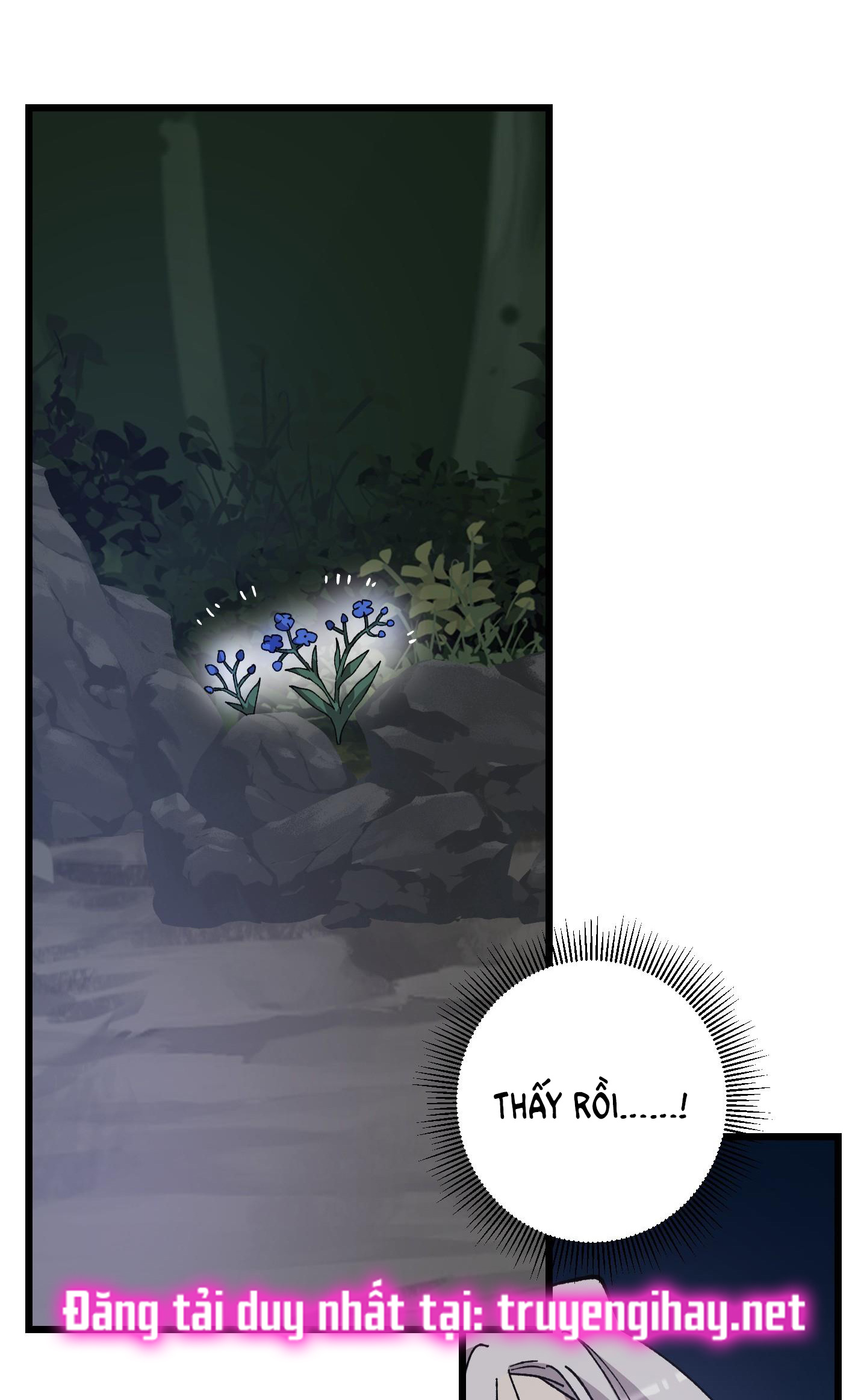 đóa hoa của mặt trời chapter 19.2 30