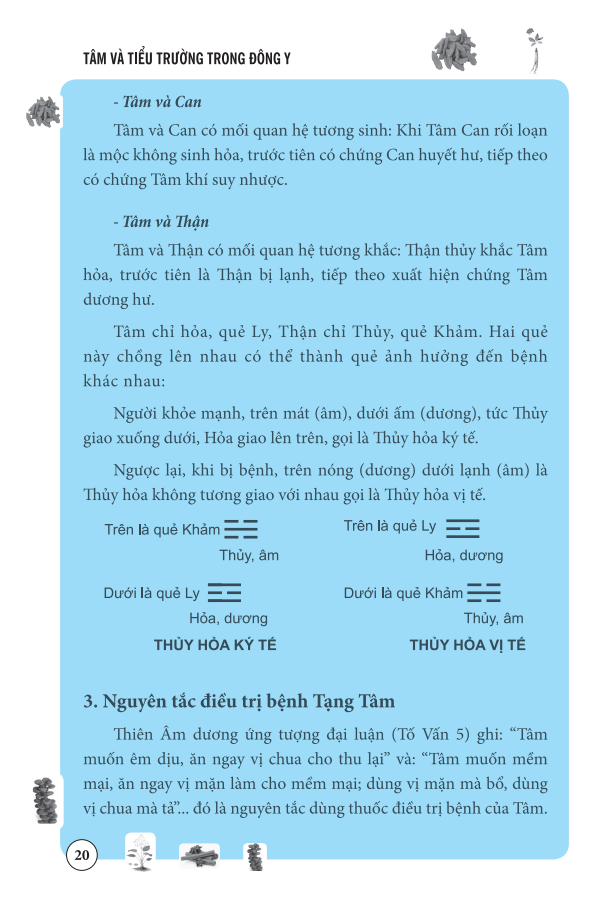 Sách Tâm Và Tiểu Trường Trong Đông Y (Bìa mềm)