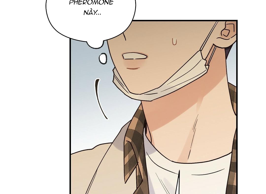 phức cảm tự ti của omega chapter 14 83