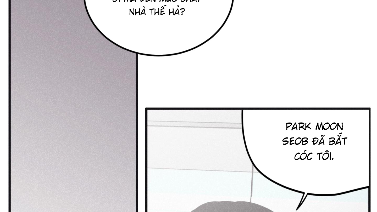 chiếu tướng chapter 95 134