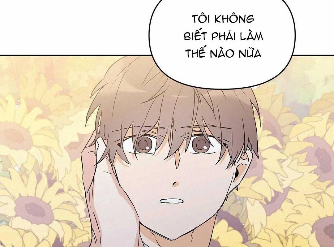 guide cấp b chapter 14 113