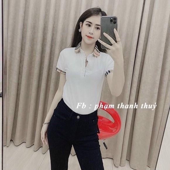 Áo thun cổ bẻ pha kẻ BBR ôm dáng, Áo phông ngắn tay thêu ngựa AS6012 - NhiNhi Shop