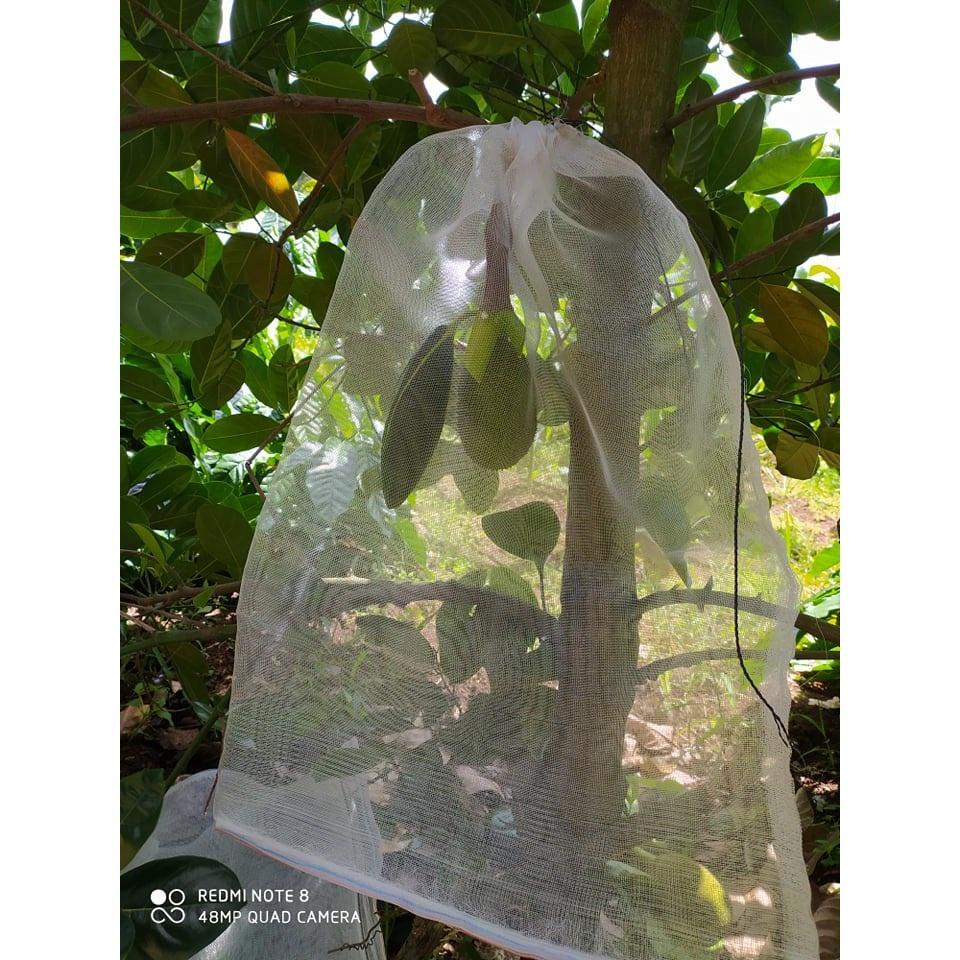 50 Cái 50*70cm Túi Cước Thái Bao Bọc Mít - Túi Bọc Trái Cây