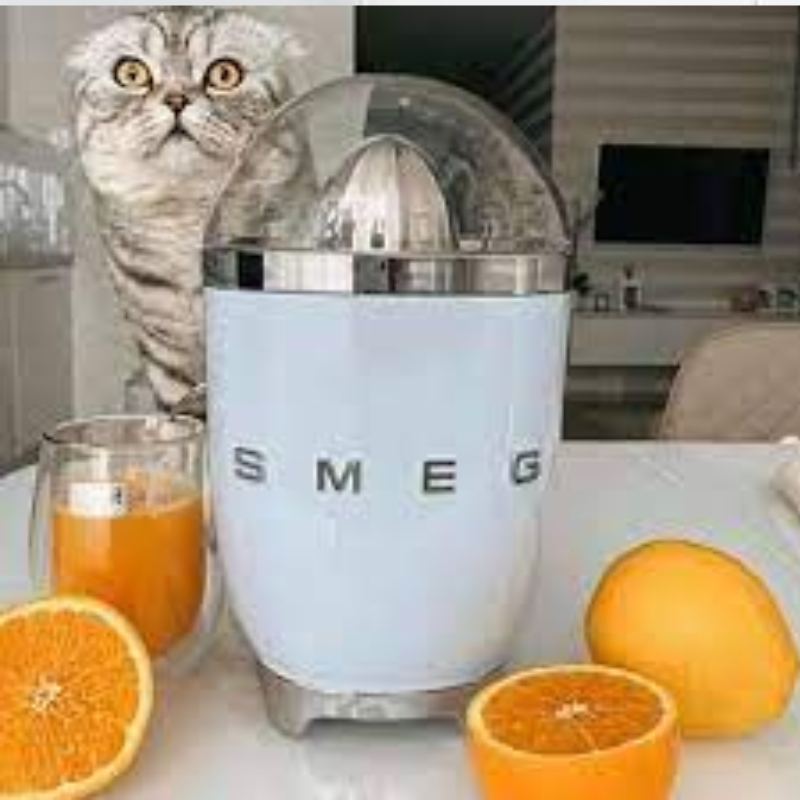 Máy vắt cam Smeg màu xanh CJF01PBEU - Hàng chính hãng