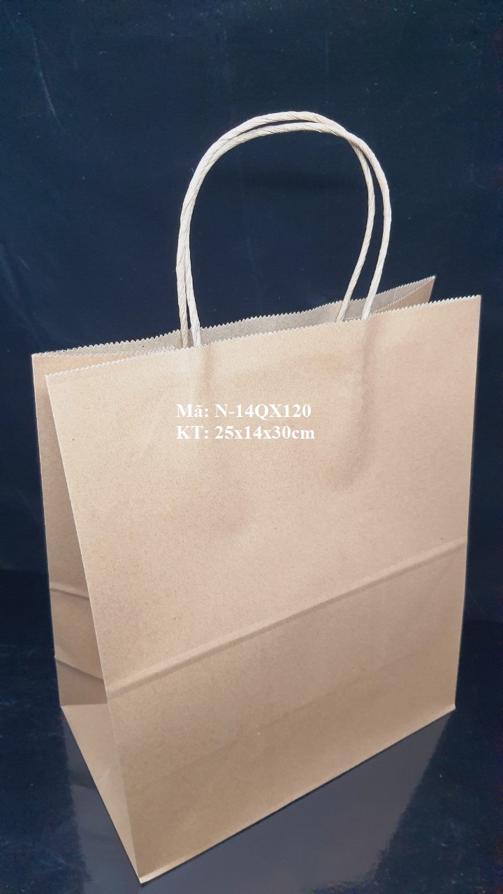 TÚI QUAI XÁCH LỚN ĐỊNH LƯỢNG 120gsm, 25x14x30cm