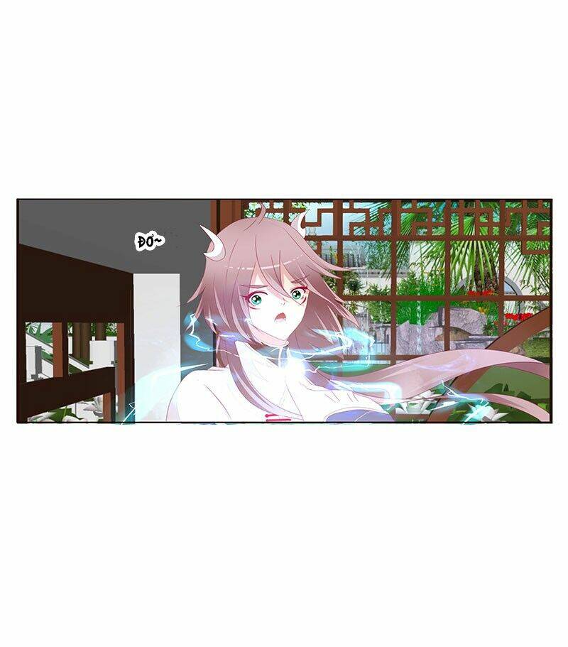 tướng quân mời ra trận chapter 81 5