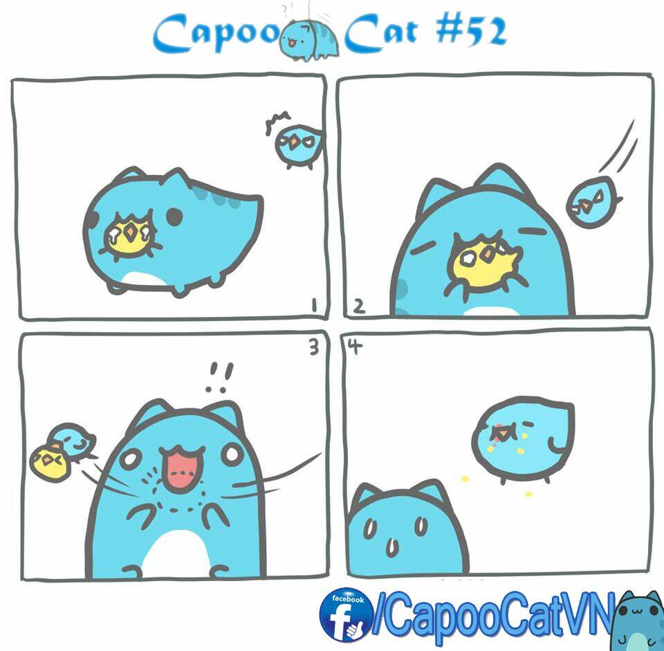 capoo cat chapter 6 2