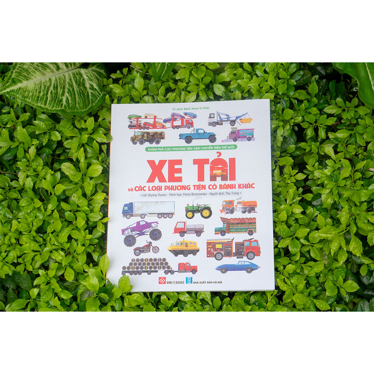 Khám phá các phương tiện vận chuyển trên thế giới - Xe tải và các loại phương tiện có bánh khác