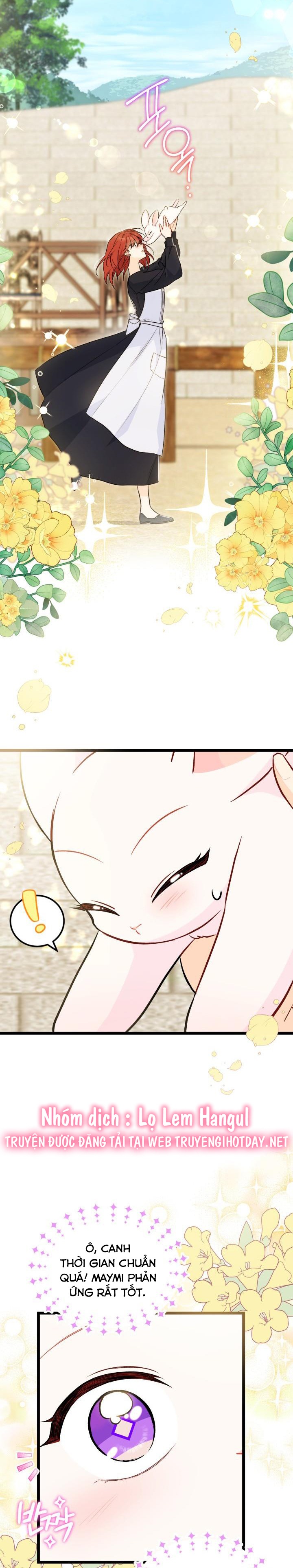 mối liên kết giữa báo đen và bé thỏ chapter 133 19