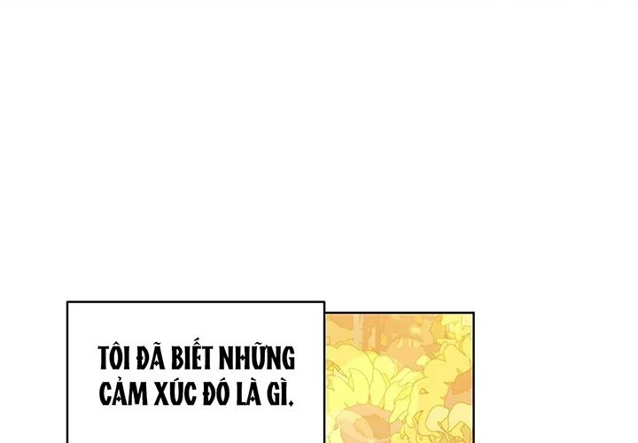 guide cấp b chapter 31 123