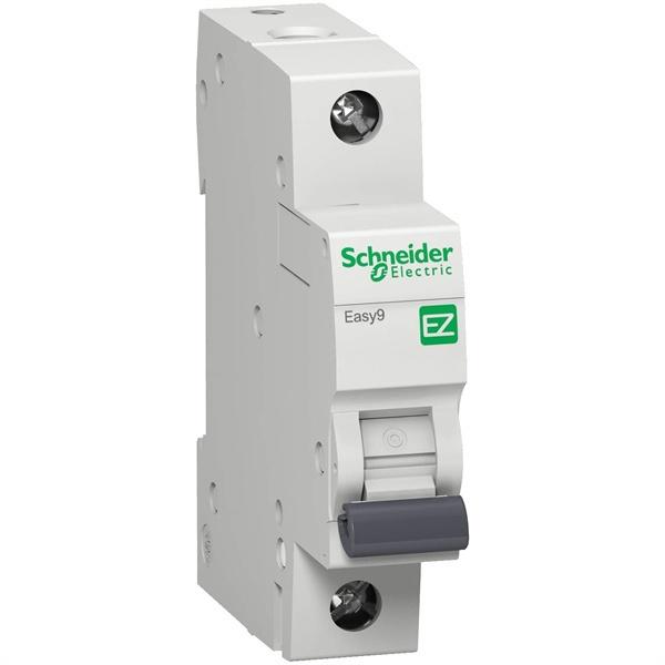 Aptomat SCHNEIDER MCB 1P 50A (Cái)