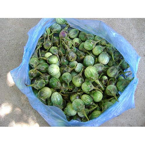 Trái Cà Đắng đặc sản Tây Nguyên.