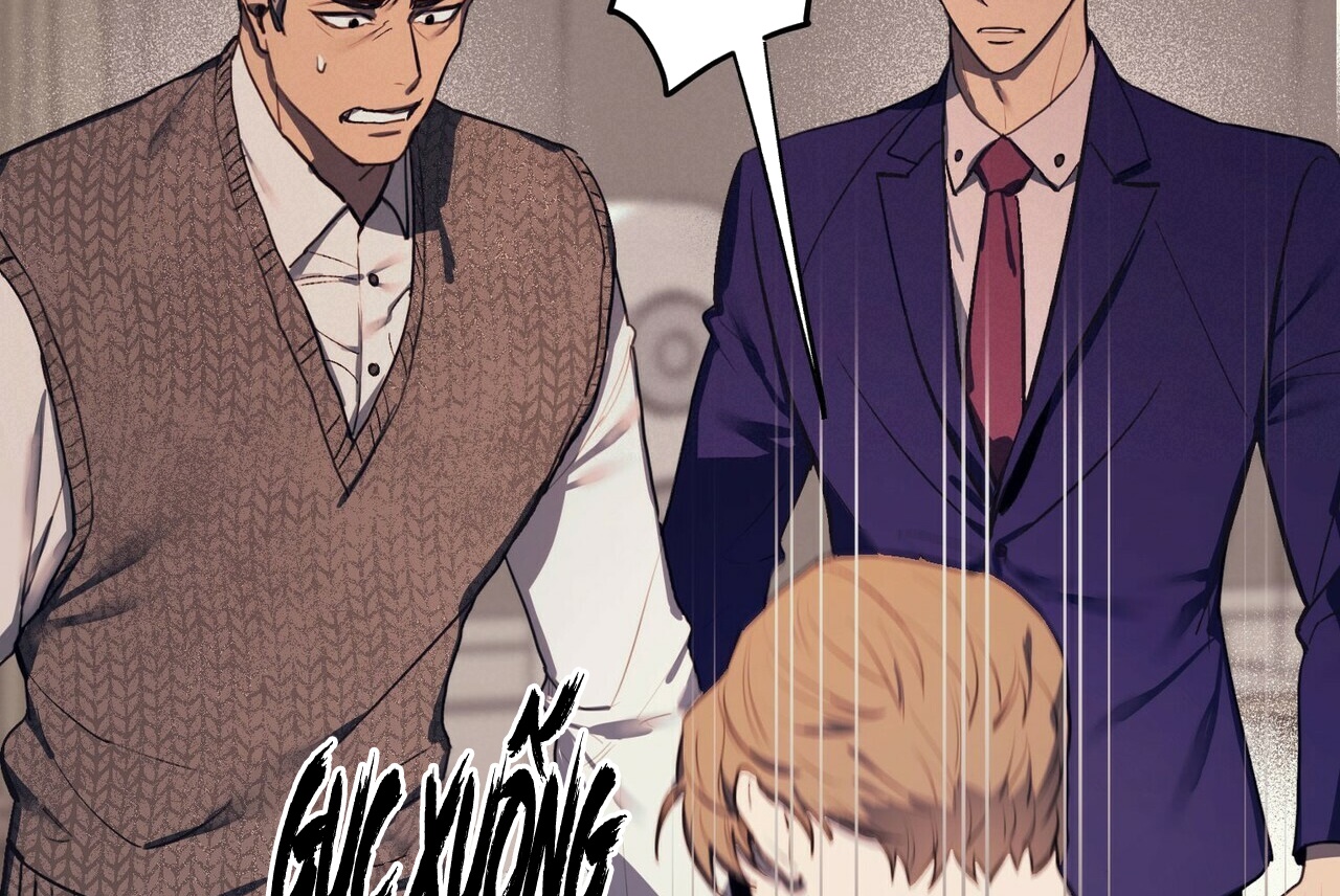 chàng dâu nhà họ kang chapter 1 25